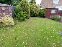 Westministenders: Another Thread, another Shit Show. Its Trump Week