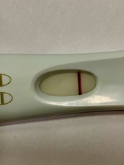 TWO WEEK WAIT