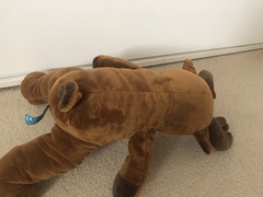 Please help me try and find this toy