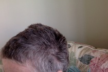 I did it. I went grey.