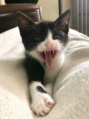 Can I just squeeee a little bit?