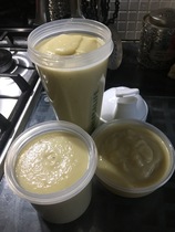 Blood sugar diet recipe thread and menu planner