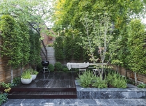 What would you do with this very small garden? (Photo)
