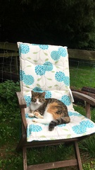 Any Witches Here? Part 8.