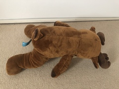 Please help me try and find this toy