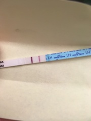 Super ugly chart, WTF?
