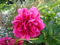 Any Witches Here? Part 8.