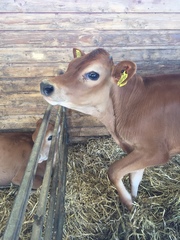 Join Money-saving May with the fantastic Frugaleers.