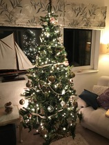 I've Finally Given In And Gone Modern. Show Me Your Tinsel-Less Trees?