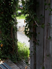 Drama in the neighbourhood