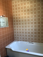 New windows or New bathrooms