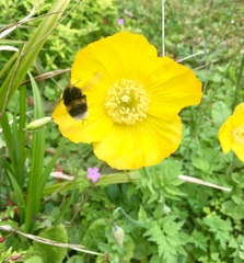 Any Witches Here? Part 8.