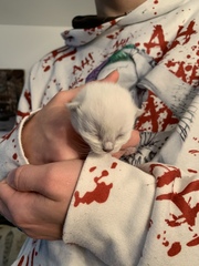 Who wants a live birth thread?