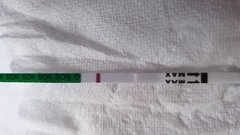 Confirm this is negative? (She says, hoping for a positive...)