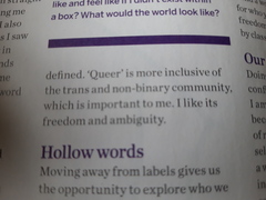 Being a homosexual female in a community of queer people, transbians and penis-inclusionary lesbians