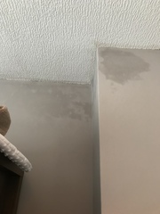 Strange damp(?) marks