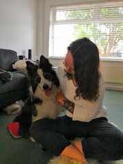 To adopt an 11 year old dog?