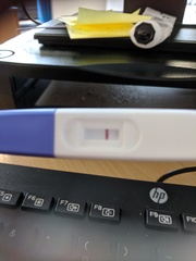 TWO WEEK WAIT