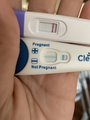 I’m going crazy over the pregnancy tests