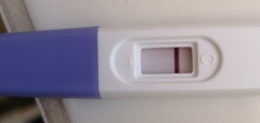 3 pozitive but negative FRER