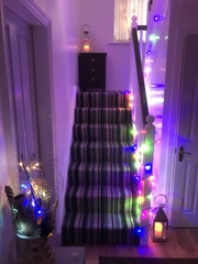 Fairy Lights - share your festive displays whether it’s Christmas or not! 🎄
