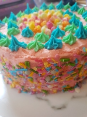 Photos of our vegan baking/cooking