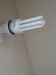 Can anyone help me with a lightbulb problem?