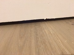 Decorator damaged door. What would you do?