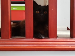 What's your DCat up to today? (Thread 7!)