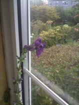 anyone know what this is?