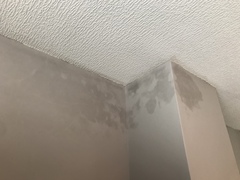 Strange damp(?) marks