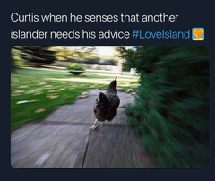 LOVE ISLAND THREAD 5.