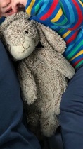 Does anybody have/help me find the 2018 co-op Easter bunny toy please