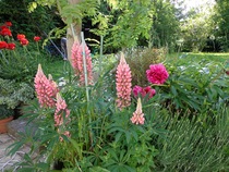 Any Witches Here? Part 8.