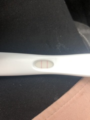 OPK as pregnancy tests????