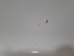 Removing marks from bath...