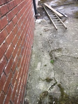 Mould - causes & best treatment ideas