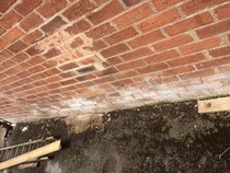 Mould - causes & best treatment ideas