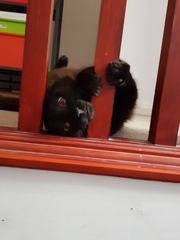What's your DCat up to today? (Thread 7!)