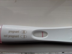 2 week wait