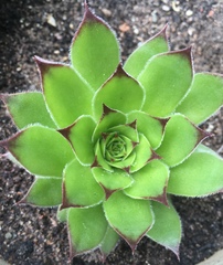 Any Witches Here? Part 8.