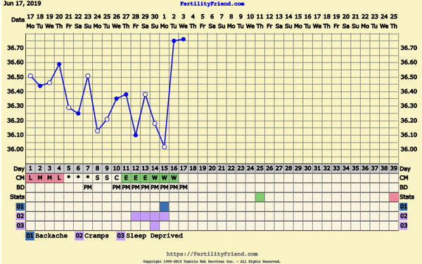 First Pregnancy Missed Miscarriage (Part III)