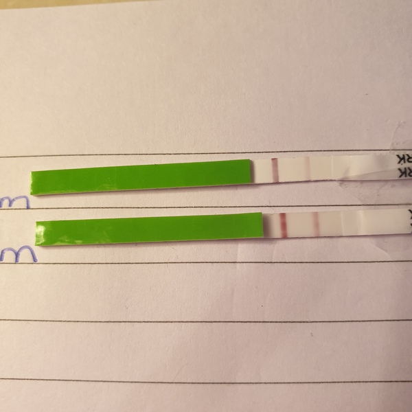 Opk progression