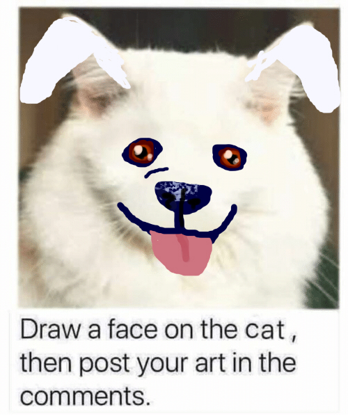 Draw a cat face challenge