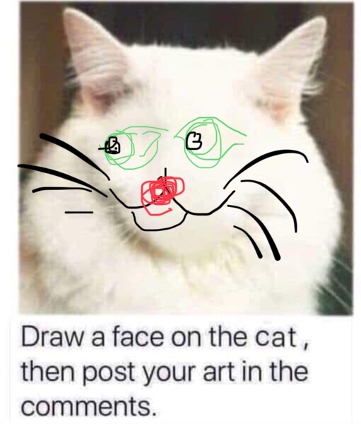 Draw a cat face challenge