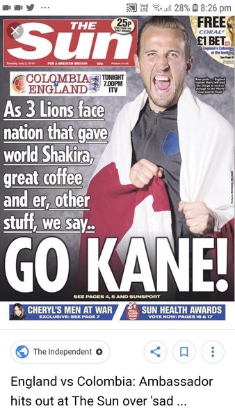 to think the term lionesses is sexist