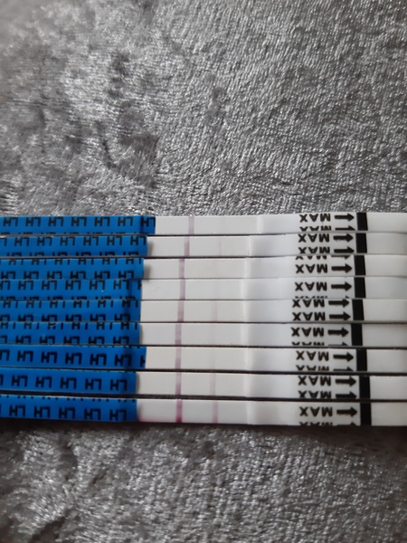 Is this positive ovulation test