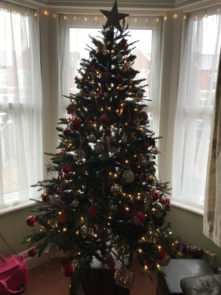 I've Finally Given In And Gone Modern. Show Me Your Tinsel-Less Trees?