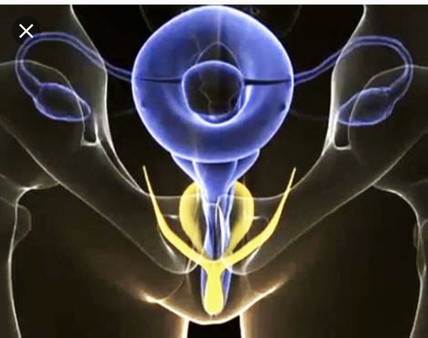 Ok so someone educate me about neo vaginas **Title edited by MNHQ at the OP's request**