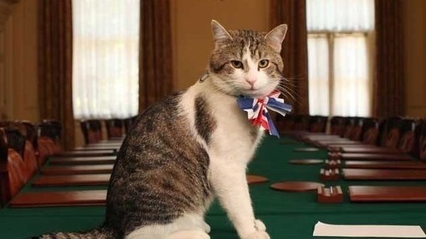 Westminstenders: On An Election Footing